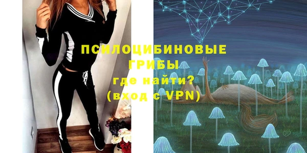 PSILOCYBIN Армянск